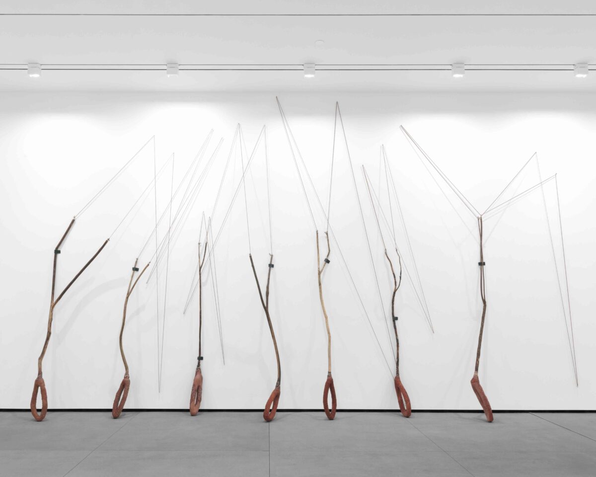 Image of enlarged slingshots leaning on a white wall
