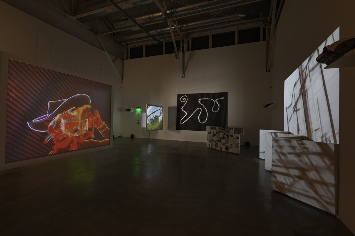 Installation View of Joan Jonas: The Shape, the Scent, the Feel of Things by Pablo Mason