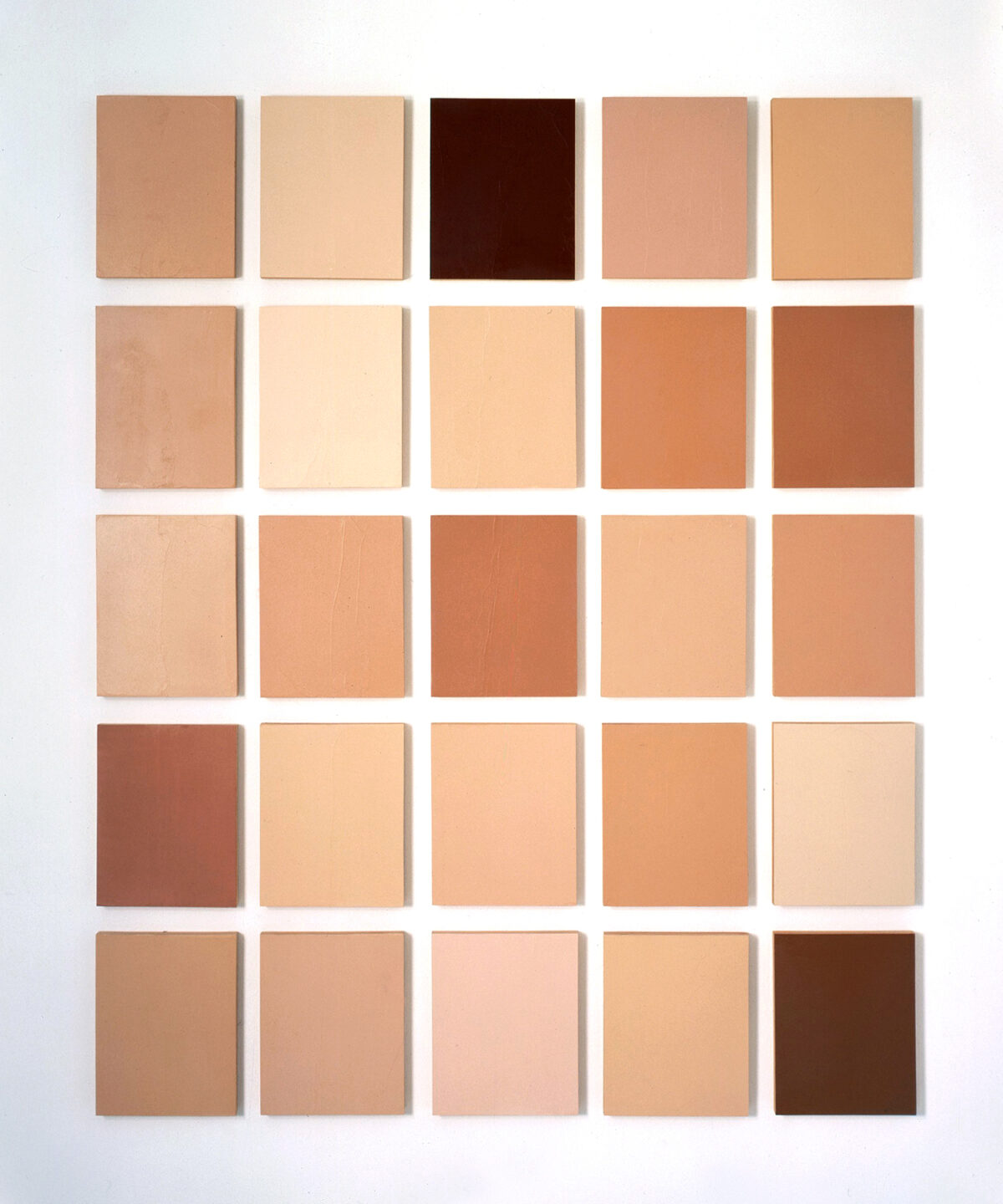 Separated square panels of different skin tones in a grid