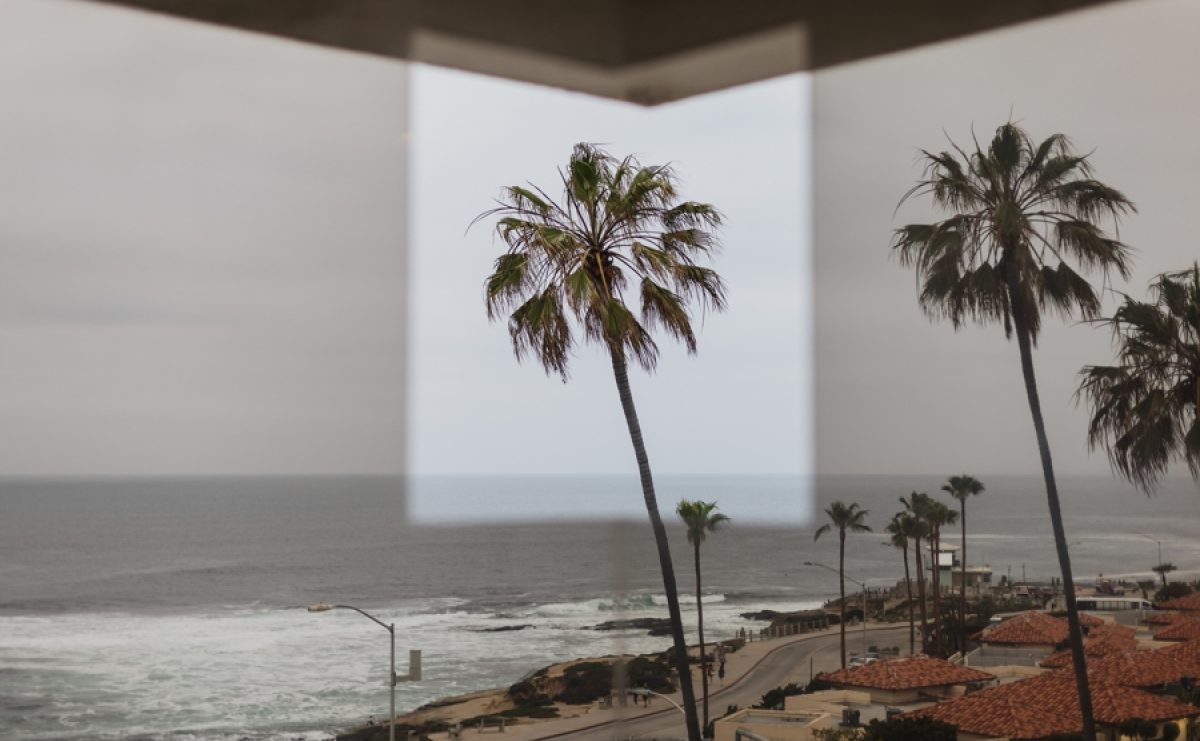 Palm tree through cut-out window (a work of art by Robert Irwin)