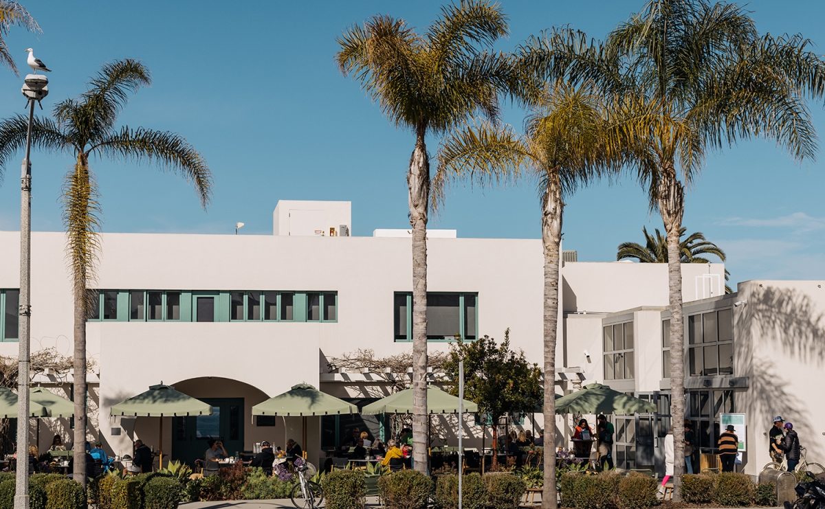 palm trees swaying over a cream building with people seated outside under green awnings
