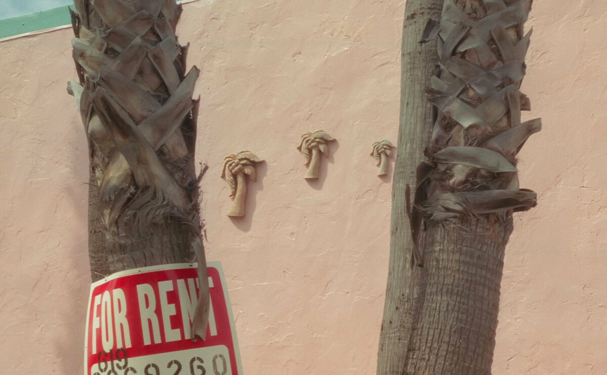 Two palm trees in the foreground split in different directions framing three faux palm trees in the background. A red "for rent" sign is posted on left tree.