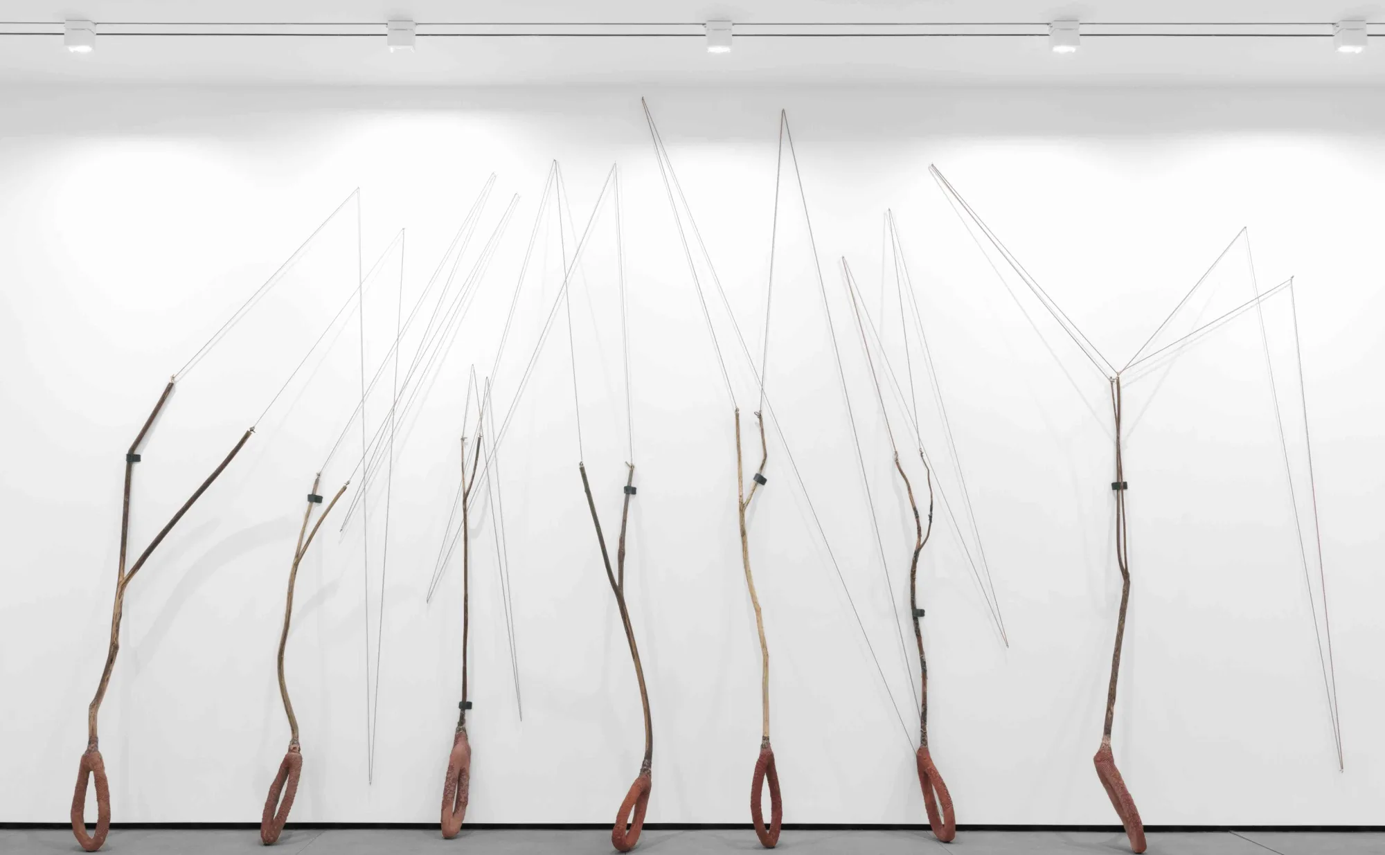 Image of enlarged slingshots leaning on a white wall