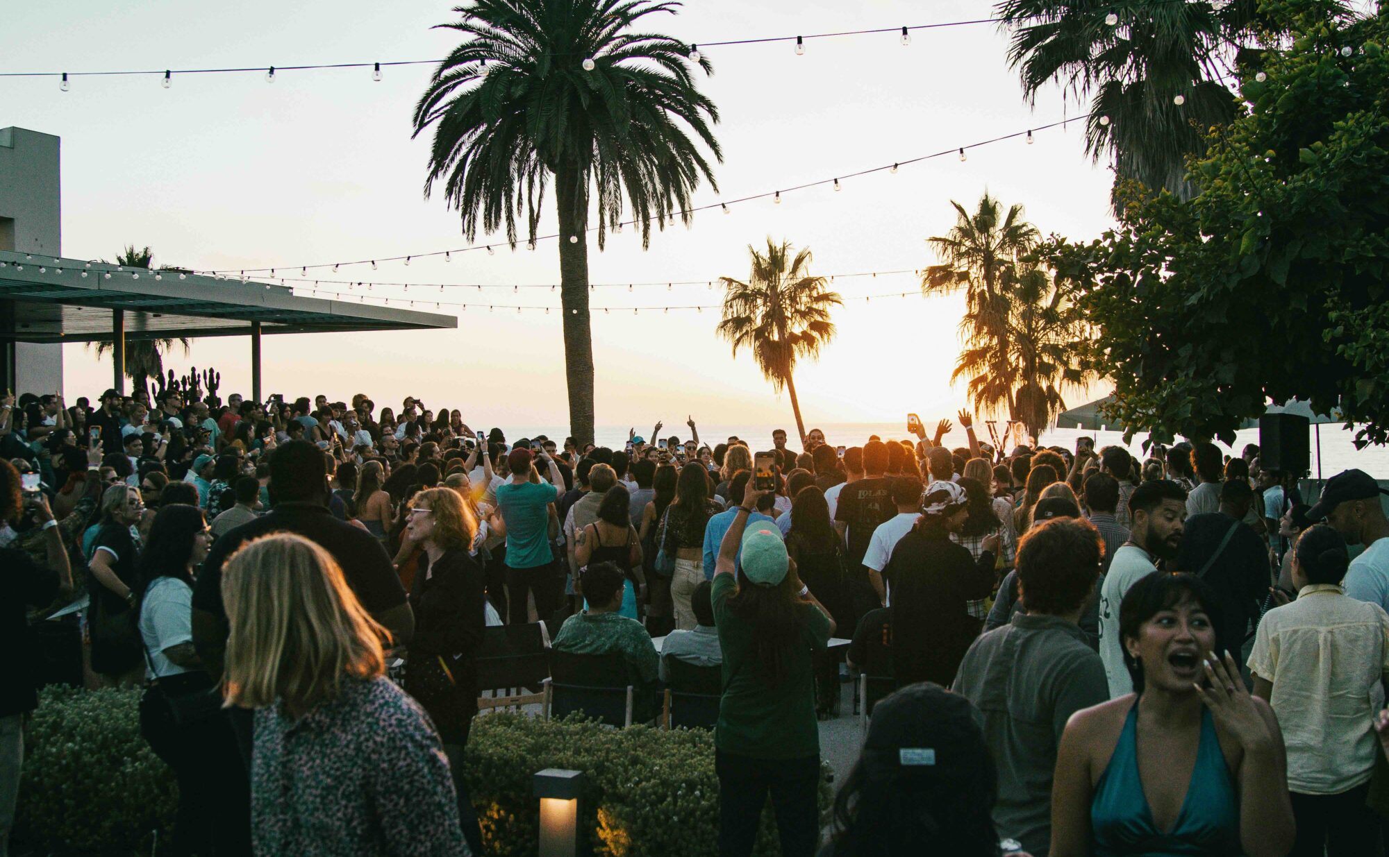 People in Art Park at sunset mingling and socializing.