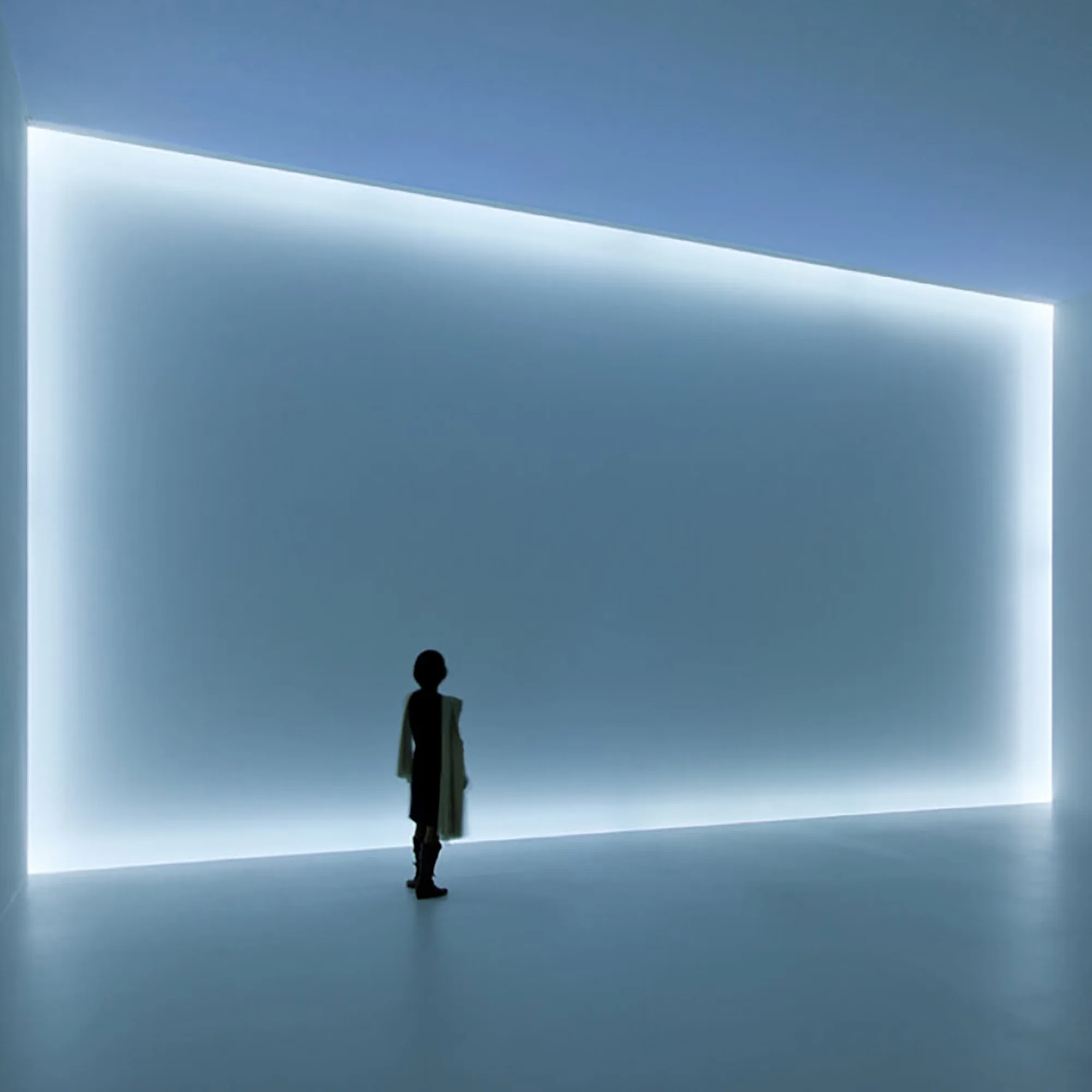 Phenomenal: California Light, Space, Surface