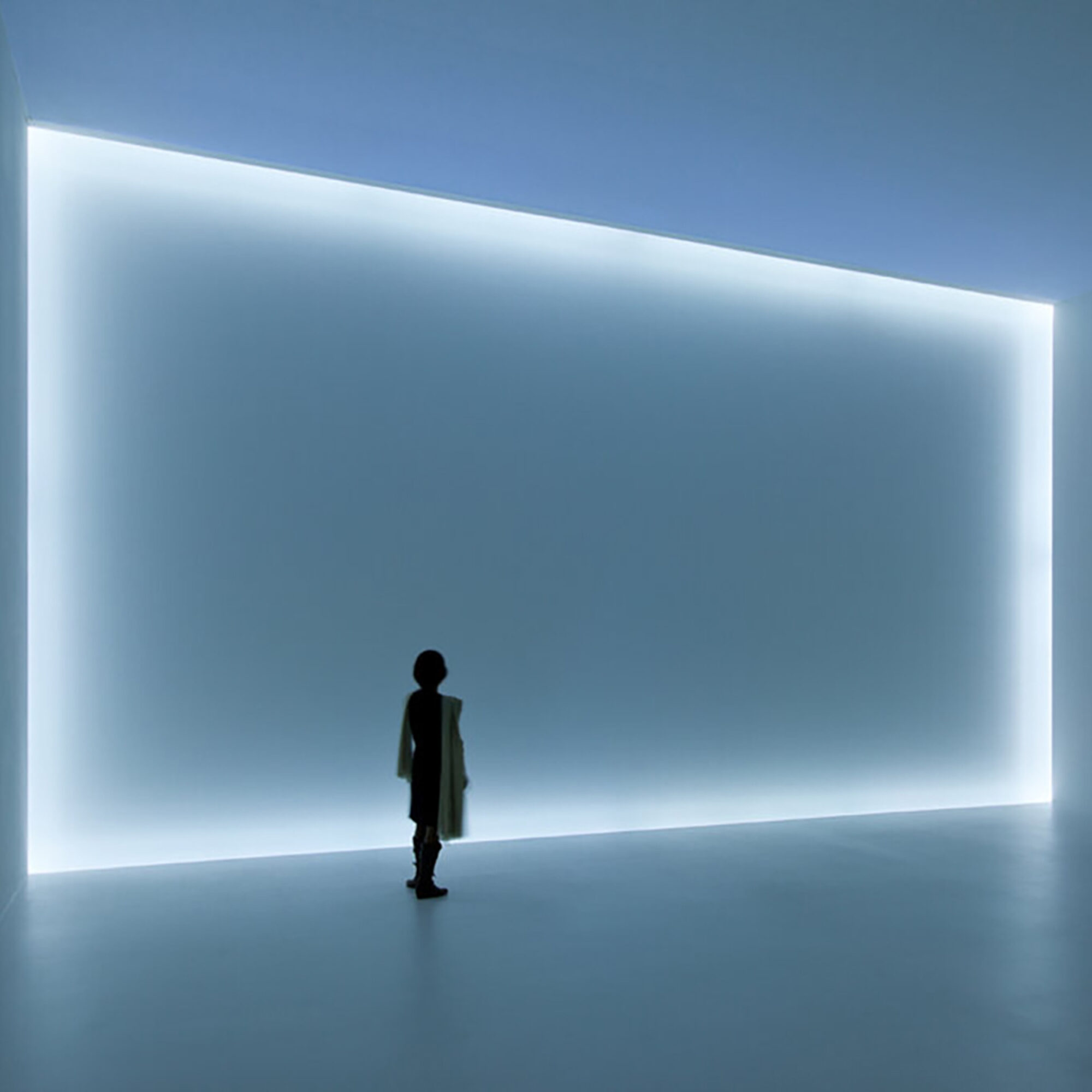 Phenomenal: California Light, Space, Surface