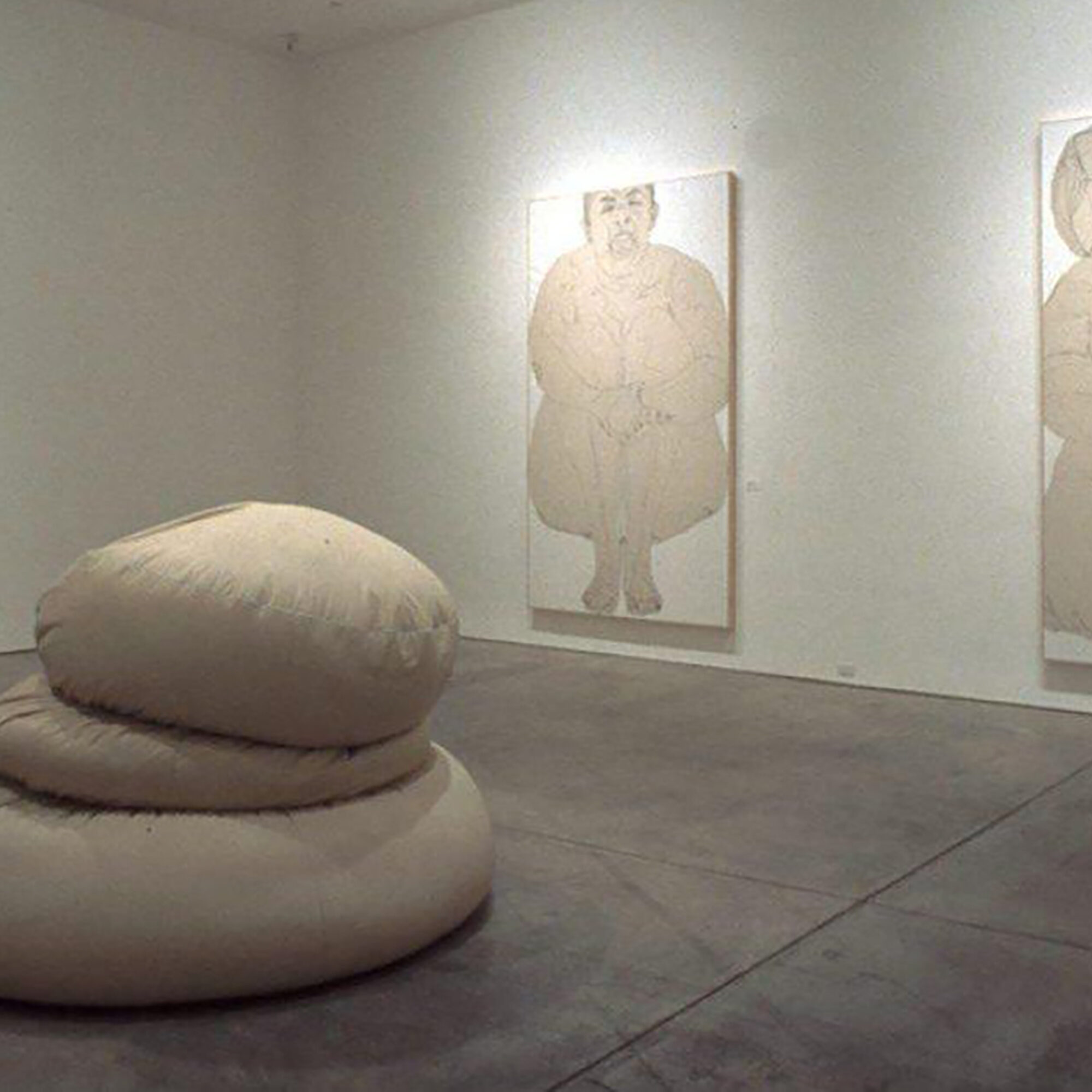 Body of work by Tania Candiani.